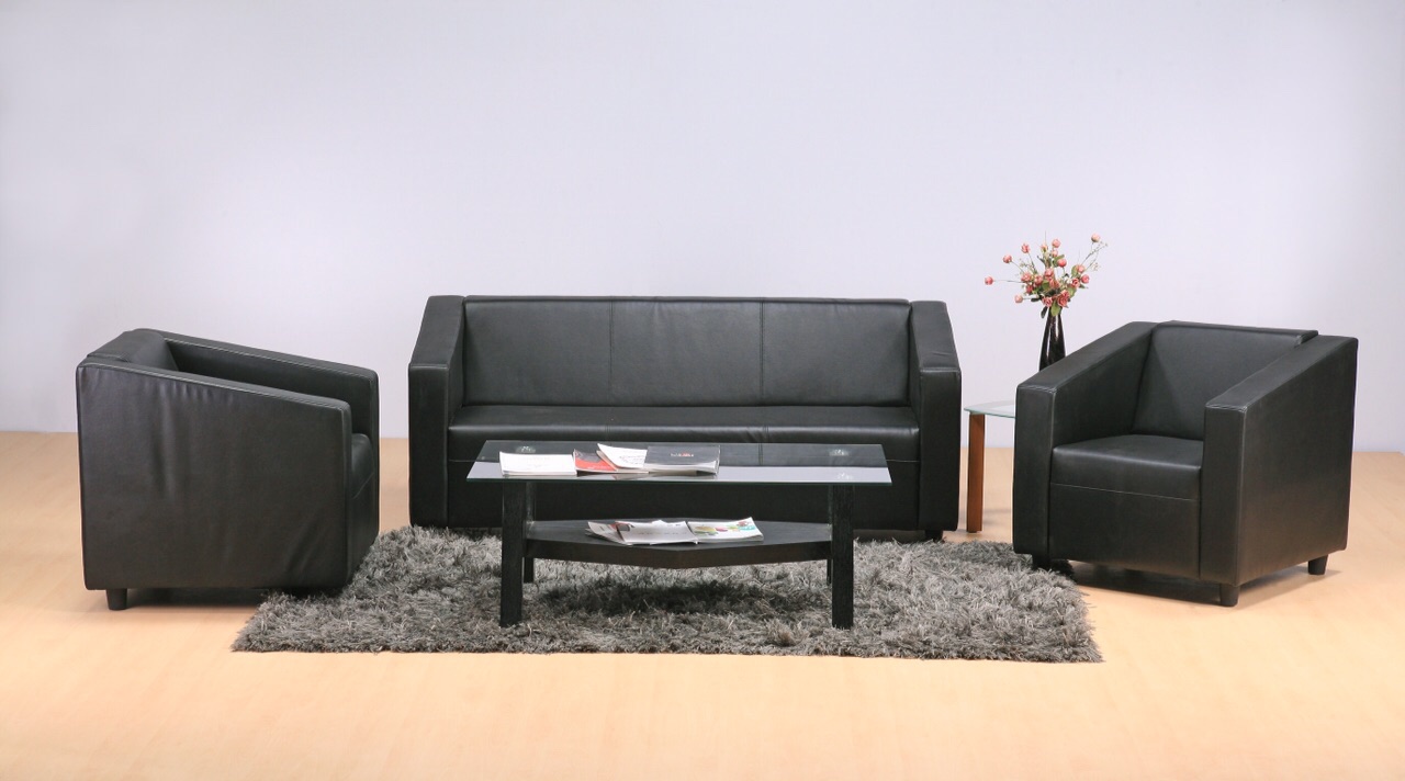 Modern Executive Sofa